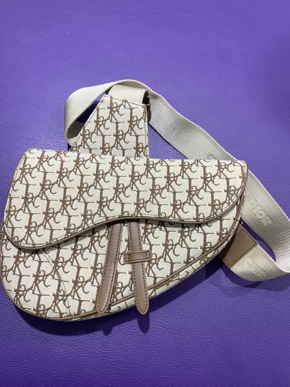 33506 - Dior X CACTUS JACK Mini Saddle Bag | Item Details - AfterMarket