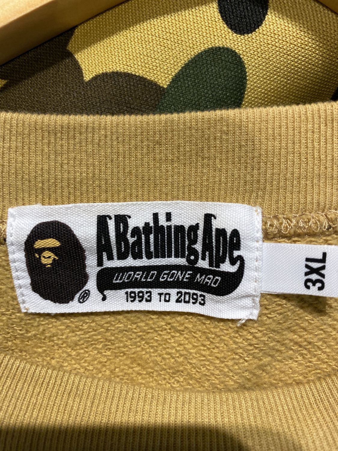6920 - A Bathing Ape World Gone Mad 1993 To 2093 Camo Hoodie | Item ...